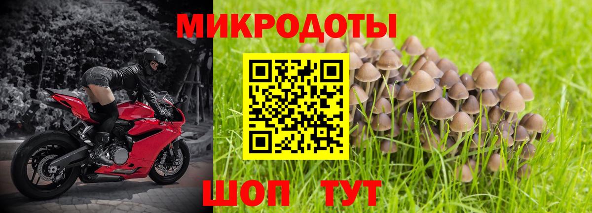 Псилоцибиновые грибы Magic Shrooms Новокузнецк