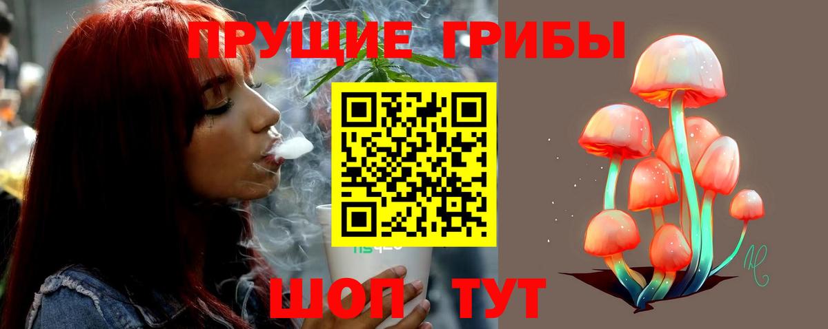 Новокузнецк  Галлюциногенные грибы Psilocybe  Вход с VPN 